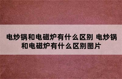 电炒锅和电磁炉有什么区别 电炒锅和电磁炉有什么区别图片